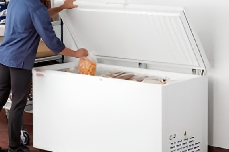 Freezer Repair in Pinewood